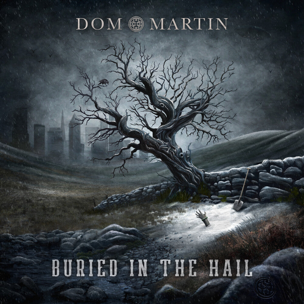 Dom Martin - Buried In The Hail [LP]