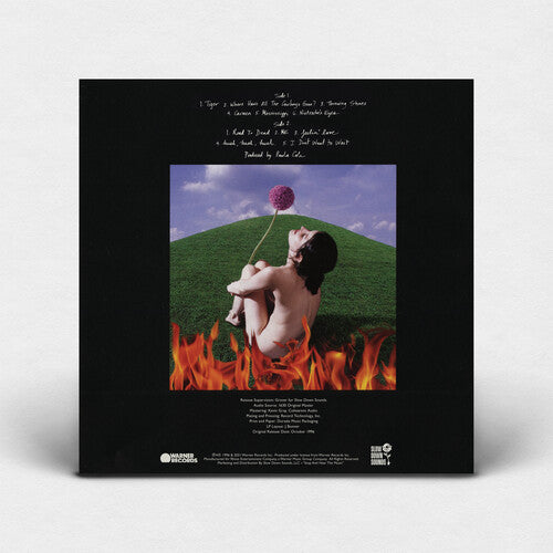Paula Cole - This Fire (Indie Exclusive Vinyl)