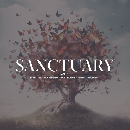 Various Artists - Sanctuary Vol. 1 (Various Artists) (Vinyl LP)