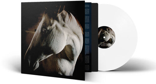 Brother Dege - How To Kill A Horse (Vinyl LP)