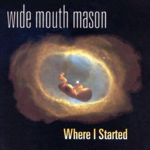 Wide Mouth Mason - Where I Started (Vinyl LP)