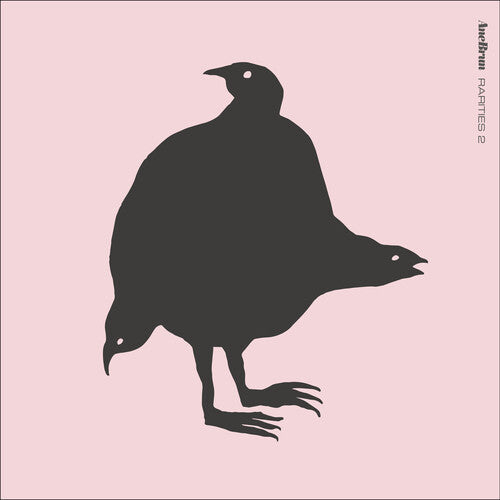 Ane Brun - Rarities 2 (Vinyl LP)
