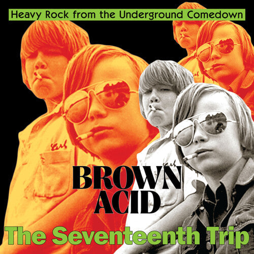 Various Artists - Brown Acid - The Seventeenth Trip (Various Artists) (Vinyl LP)