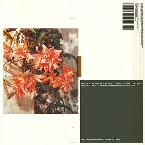 Popp Polygonia - Candid (Vinyl LP)