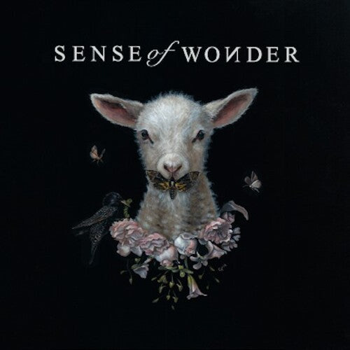 Sense of Wonder - Sense of Wonder (Vinyl LP)