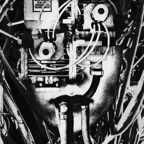 Dissimulator - Lower Form Resistance (Vinyl LP)