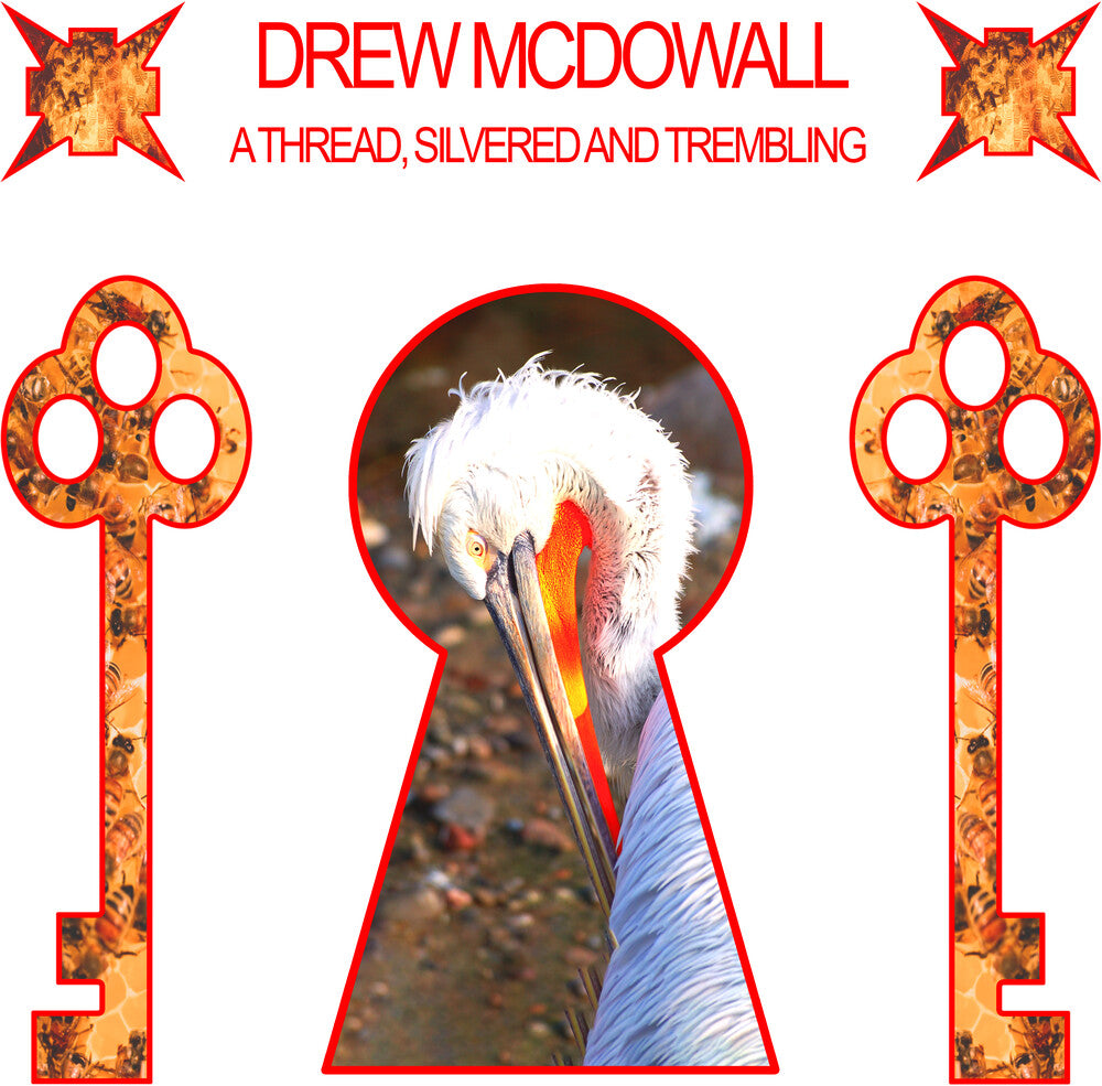 Drew McDowall - Thread, Silvered And Trembling [LP]