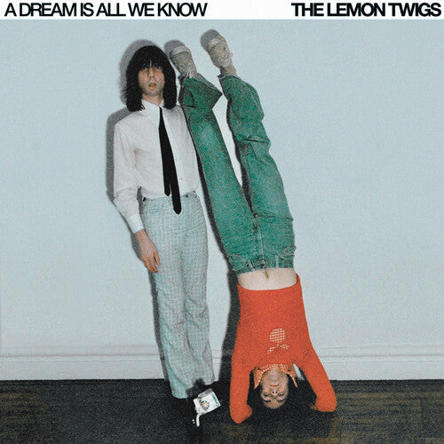 Lemon Twigs - Dream Is All We Know (Vinyl LP)