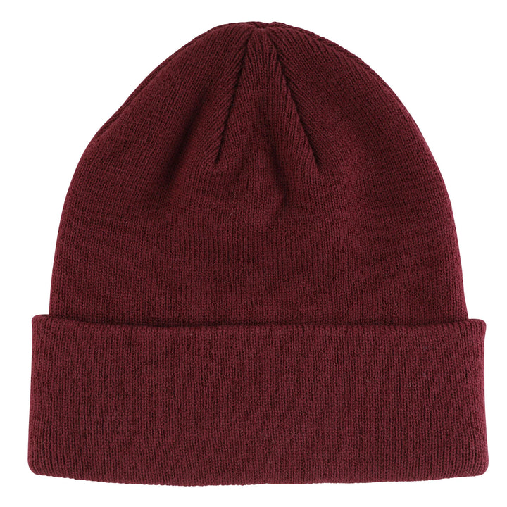Santa Cruz Screaming Hand Long Shoreman Beanie