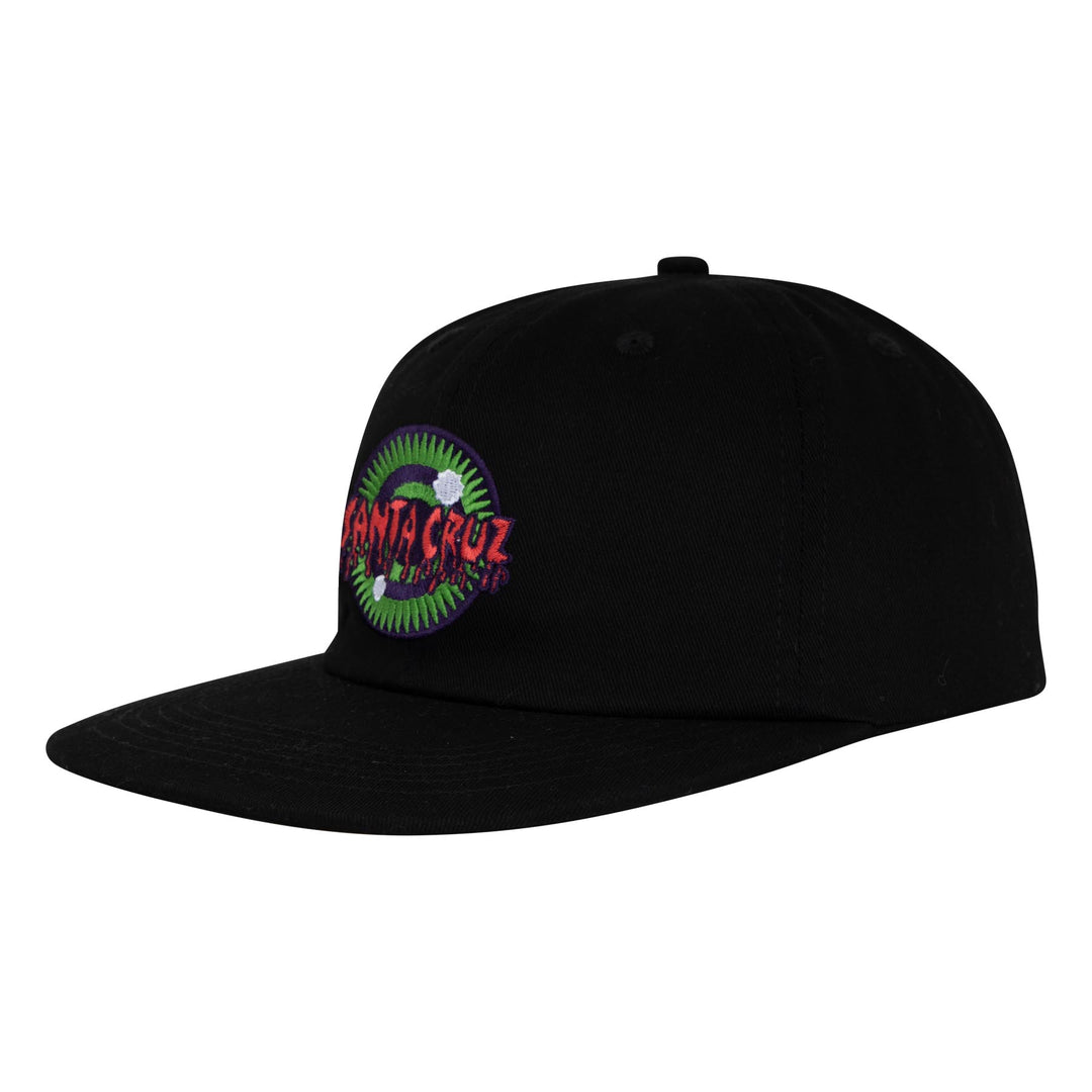 Santa Cruz Roskopp Iris Snapback Hat