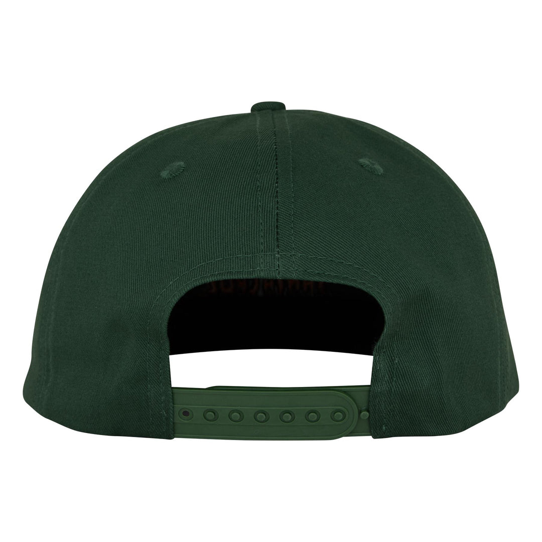 Santa Cruz Roskopp Iris Snapback Hat