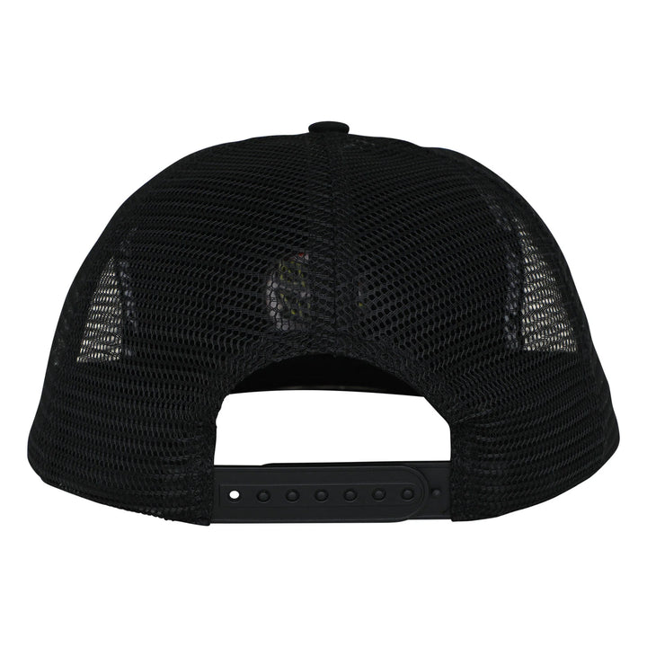 Santa Cruz Cruz Embroidered Snapback Hat