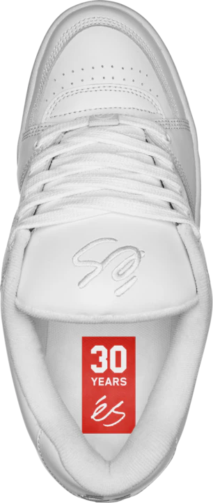 eS Accel Skate Shoes