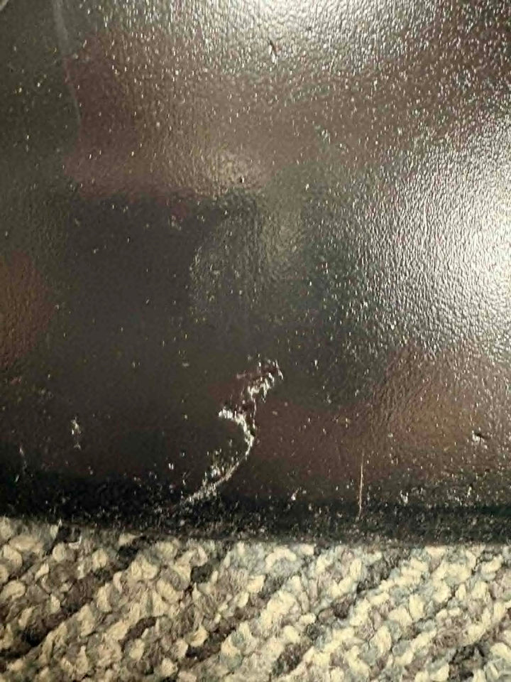 Powell Peralta Steve Caballero Mechanical Dragon Black 10" Skateboard Deck