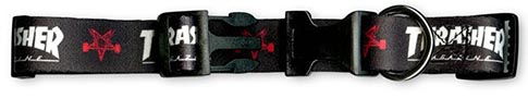 Thrasher Dog Collar