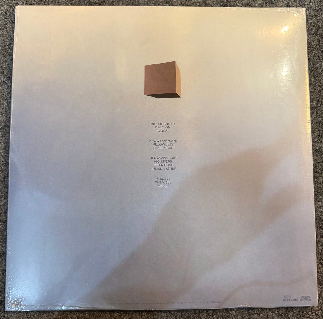 Phish - Evolve [Prismatic Velvet Tone] Back Vinyl Record Cover