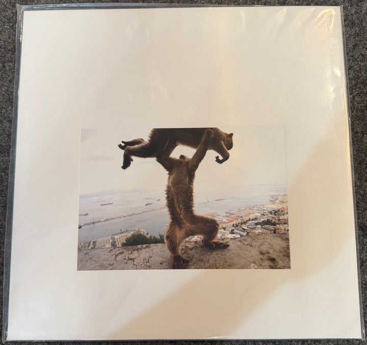 Shellac - Dude Incredible Vinyl LP Record
