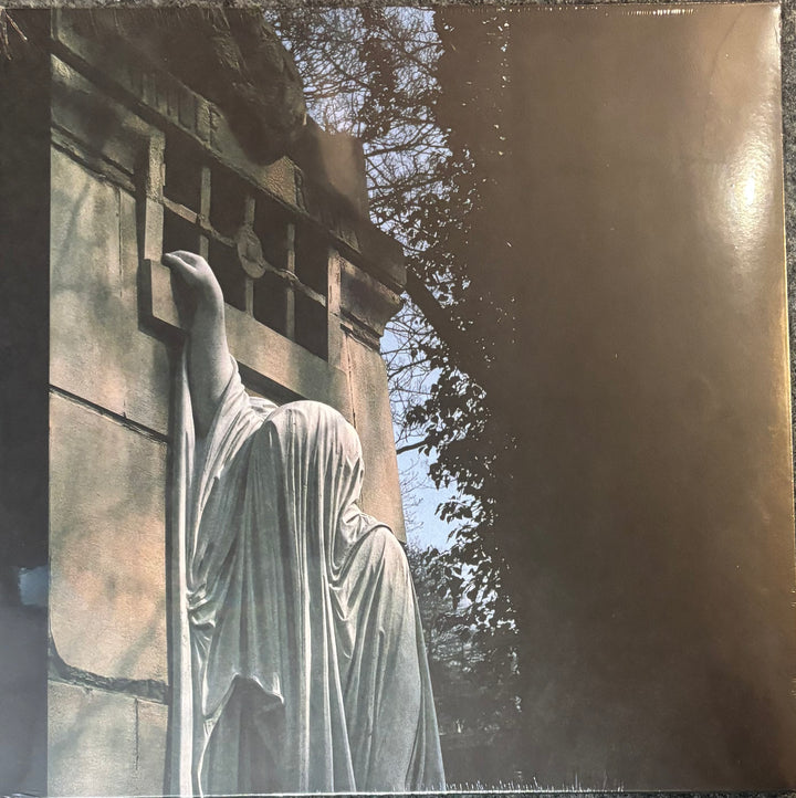 Dead Can Dance - Within The Realm Of A Dying Sun Vinyl LP Record
