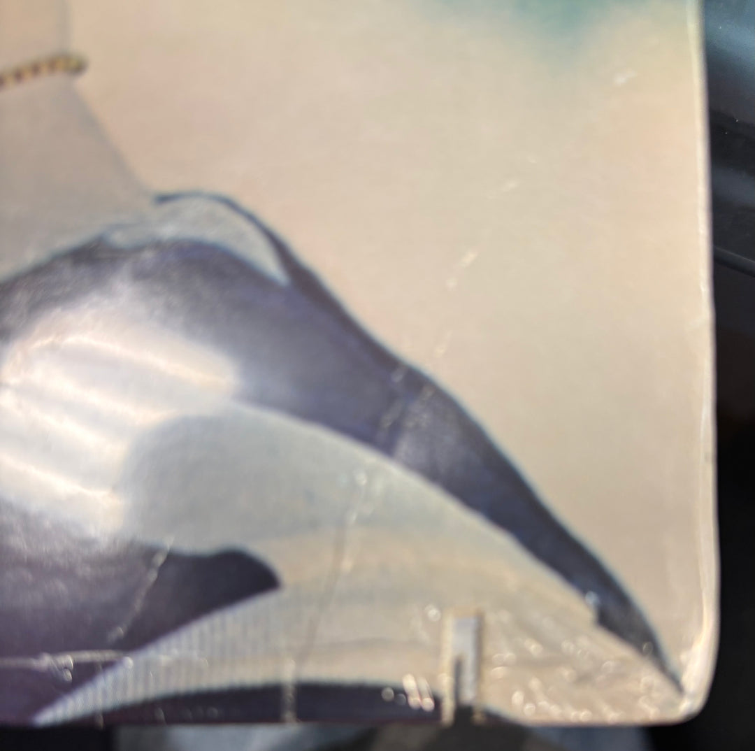 cutout on the bottom right of the jacket