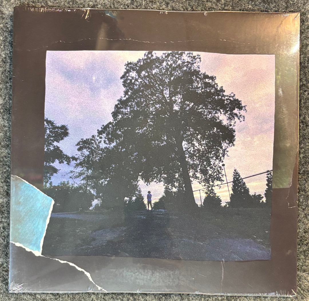 J. COLE – 4 YOUR EYEZ ONLY cover with Vintage-style photo of a person standing under a large tree with a metallic border.