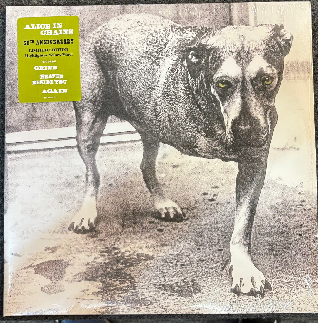 ALICE IN CHAINS - ALICE IN CHAINS album cover with a dog and a green label on a textured background