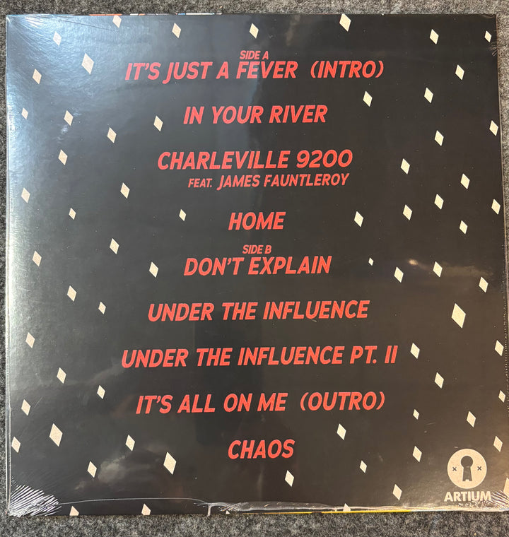 Snoh Aalegra Don't Explain vinyl record sleeve with track listing on a textured surface