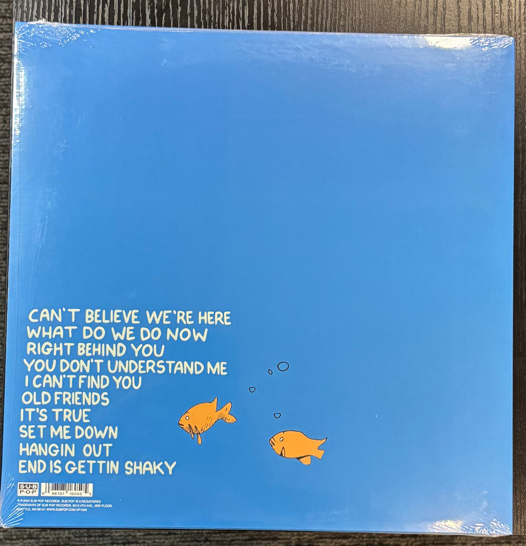 MASCIS, J - What Do We Do Now record cover with text and fish illustrations on a blue background