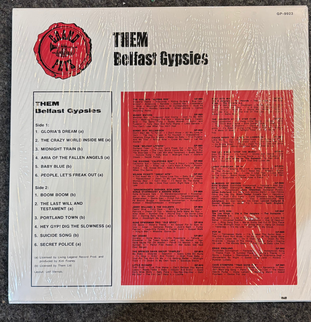 Back cover of BELFAST GYPSIES, THE (THEM MEMBERS) - THEM BELFAST GYPSIES vinyl record with text and tracklist on a textured surface