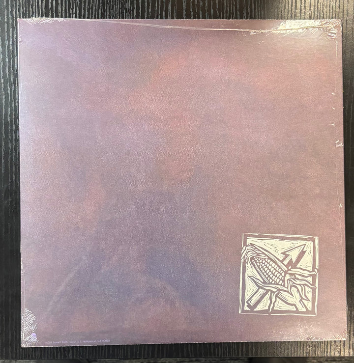 BAD RELIGION – AGAINST THE GRAIN vinyl record with a purple cover featuring a small square design in the bottom right corner on a dark surface.