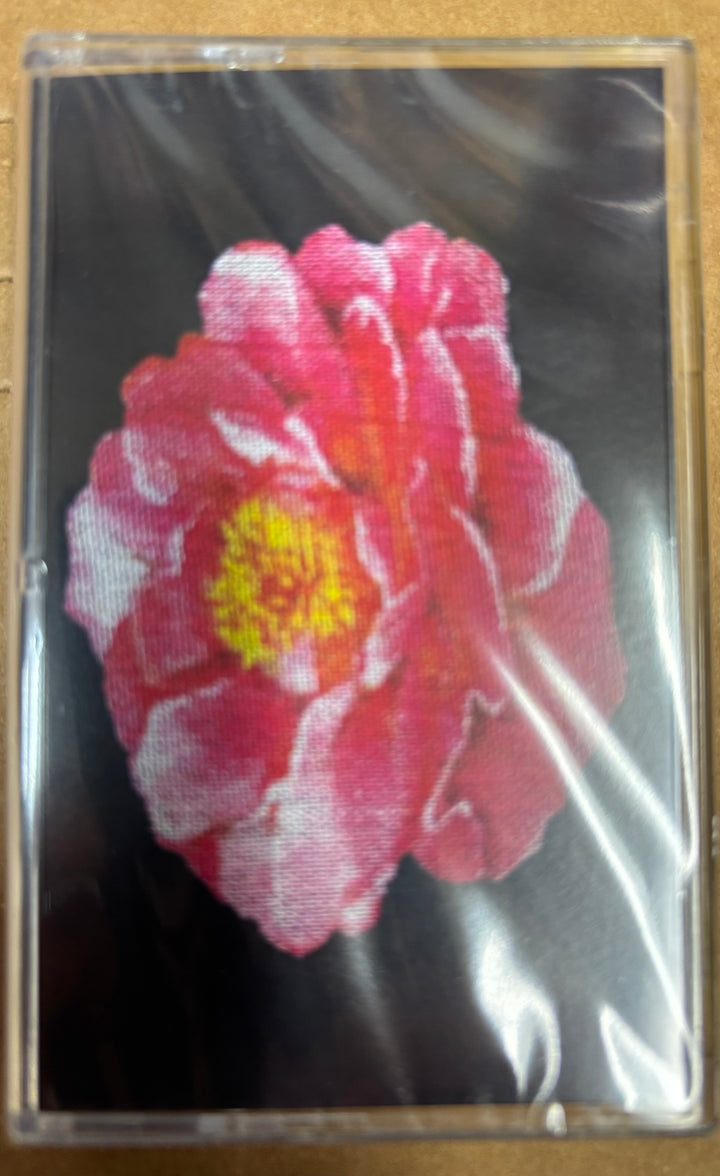 Post Malone tribute to Nirvana cassette front cover