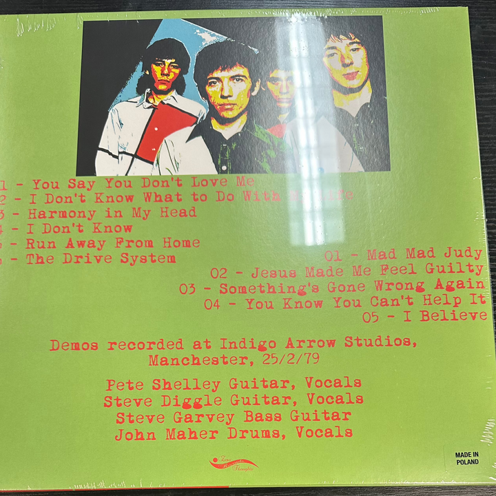 BUZZCOCKS - HARMONY IN MY HEAD (1979 DEMOS) Vinyl LP Record *Unofficial Release*