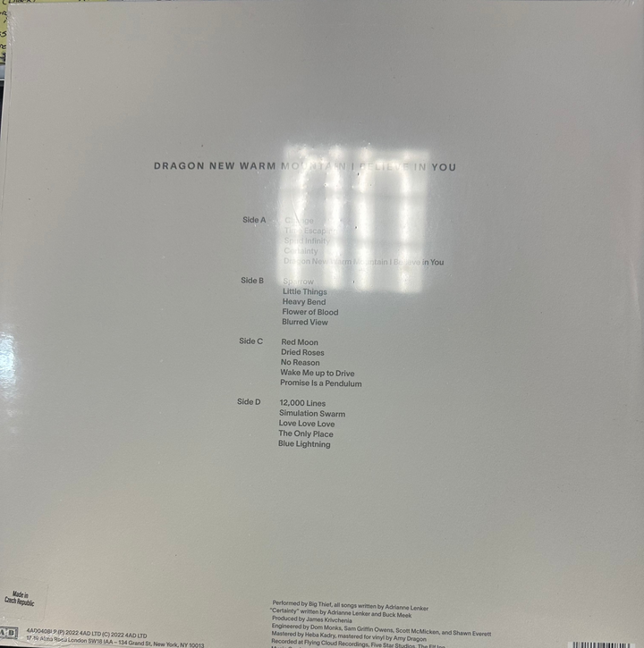 BIg Thief - Dragon New Warm Mountain I Believe In You 2x Vinyl LP Record