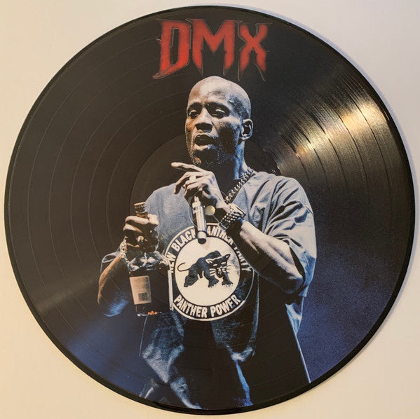 DMX – Greatest Hits Picture Disc Vinyl LP Record - The Dark Slide