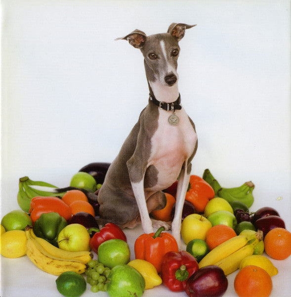 Shellac – Excellent Italian Greyhound CD