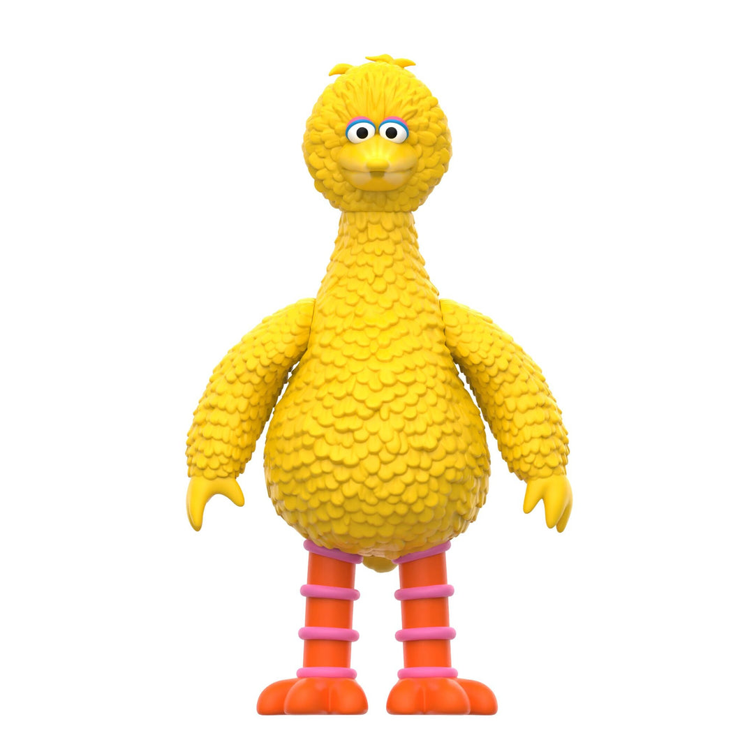 Super7 x Sesame Street - Big Bird and Mr. Snuffleupagus 2