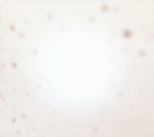 THERE'S A RIOT GOING ON [Vinyl]