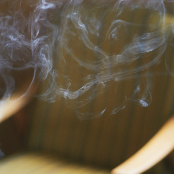 JOHANNA ORELLANA - Las Camelias, Tres Esquinas [Vinyl]