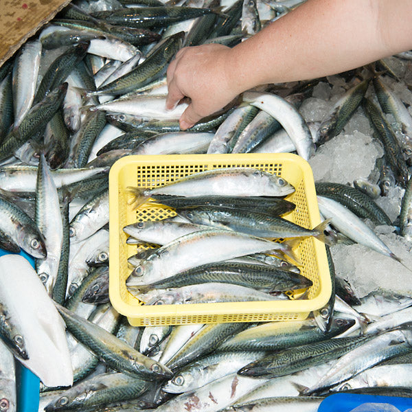 Processed Snippets: Congo Traditional 1952 & 1957 [Vinyl]