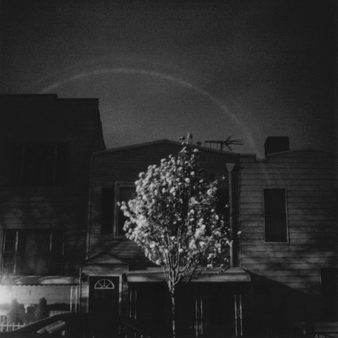 Hands In The Honey Jar (DARK CYAN & WHITE VINYL) [Vinyl]