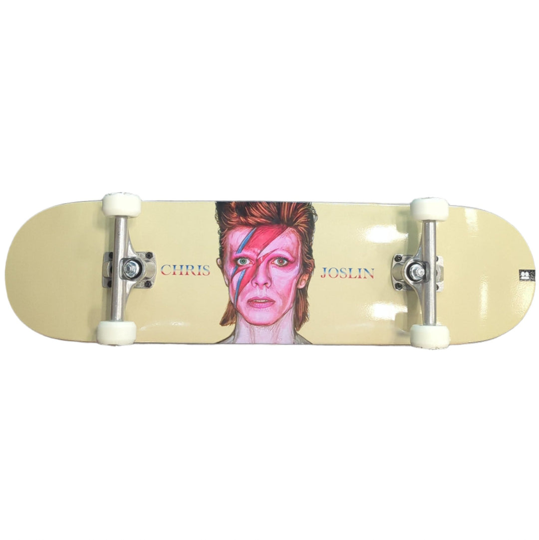 PLAN B JOSLIN IDOL 8.375 COMPLETE SKATEBOARD The Dark Slide