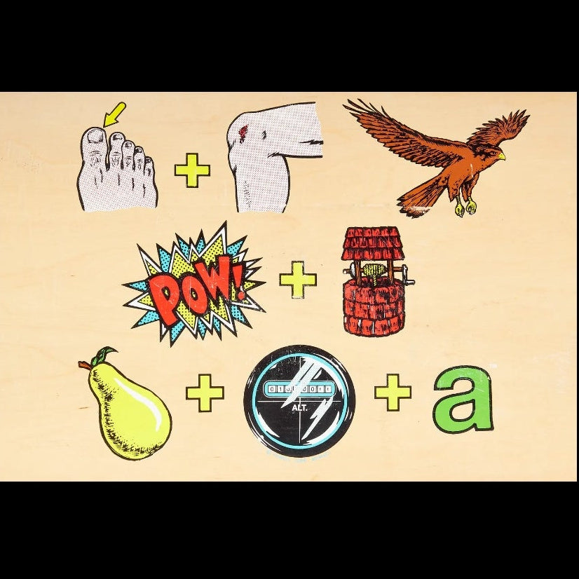 Powell Peralta Tony Hawk Pictograph NOS 1991 Natural Skateboard Deck