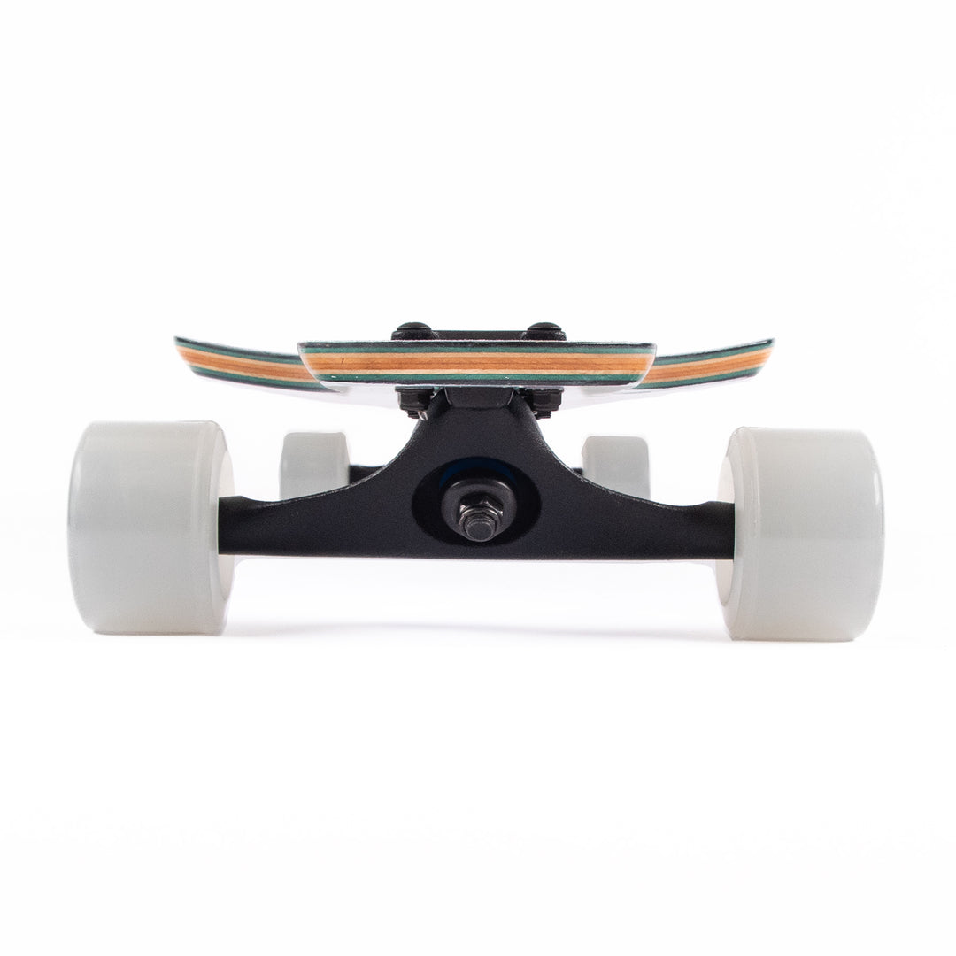 Sector 9 Bintang Silver Fox 9.25 x 38 Complete Drop Thru Longboard