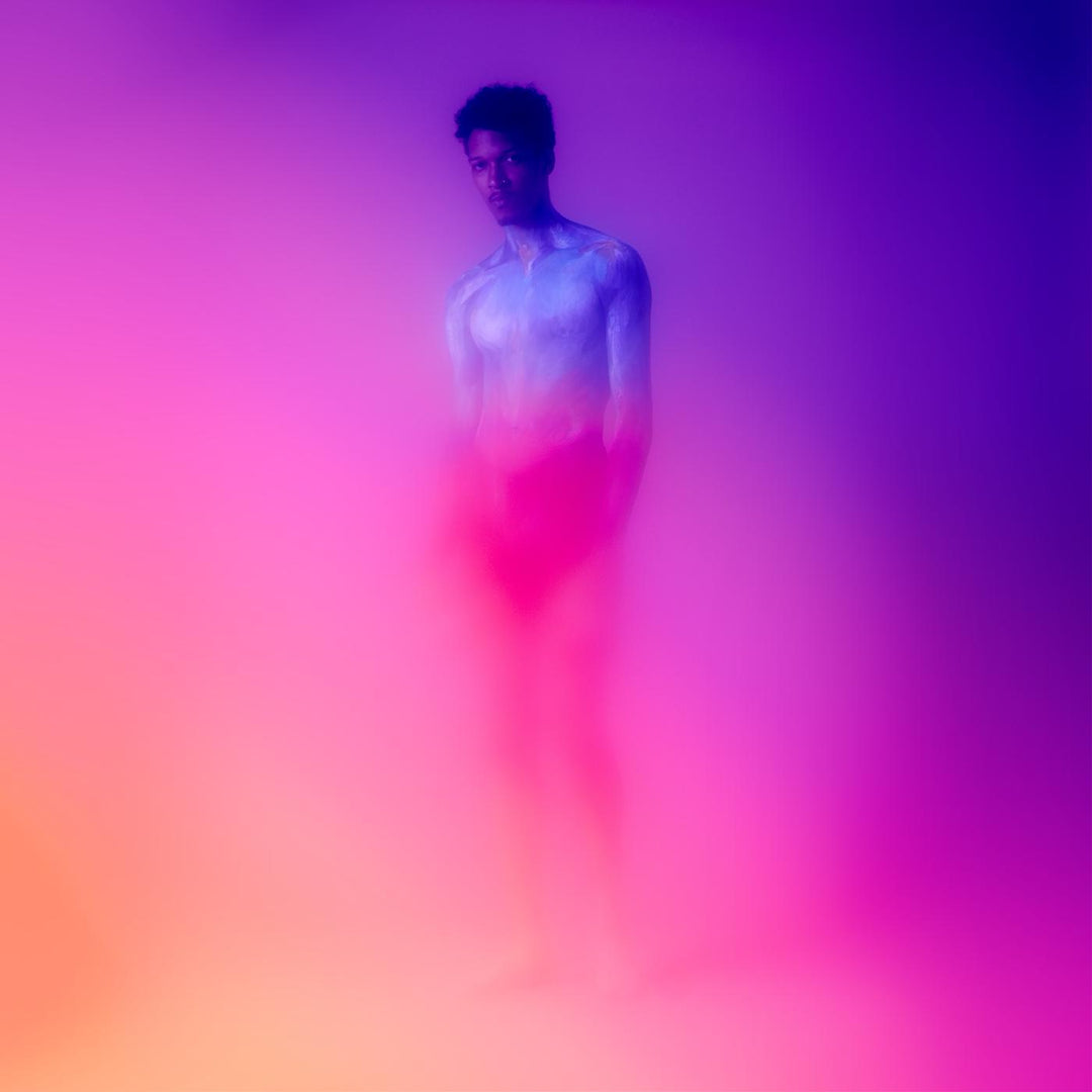 Rosehardt - Songs in the Key of Solitude [Vinyl]