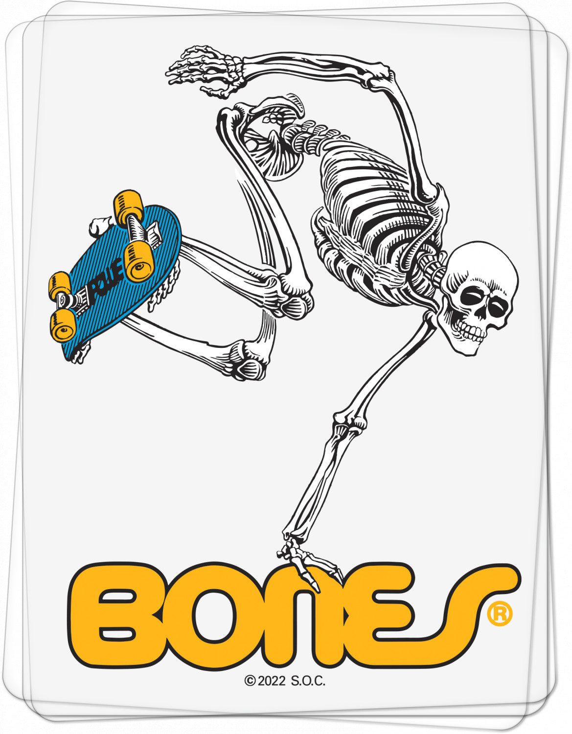 Powell Peralta Skateboard Skeleton 4